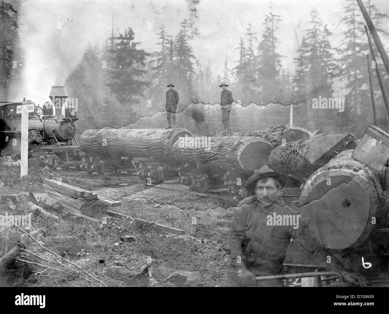 Steam logging in фото 64