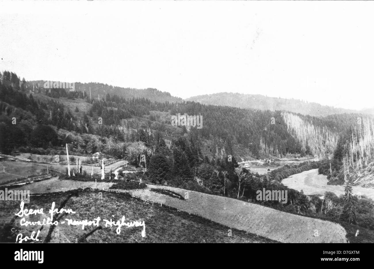 Scene from CorvallisNewport highway postcard Stock Photo Alamy