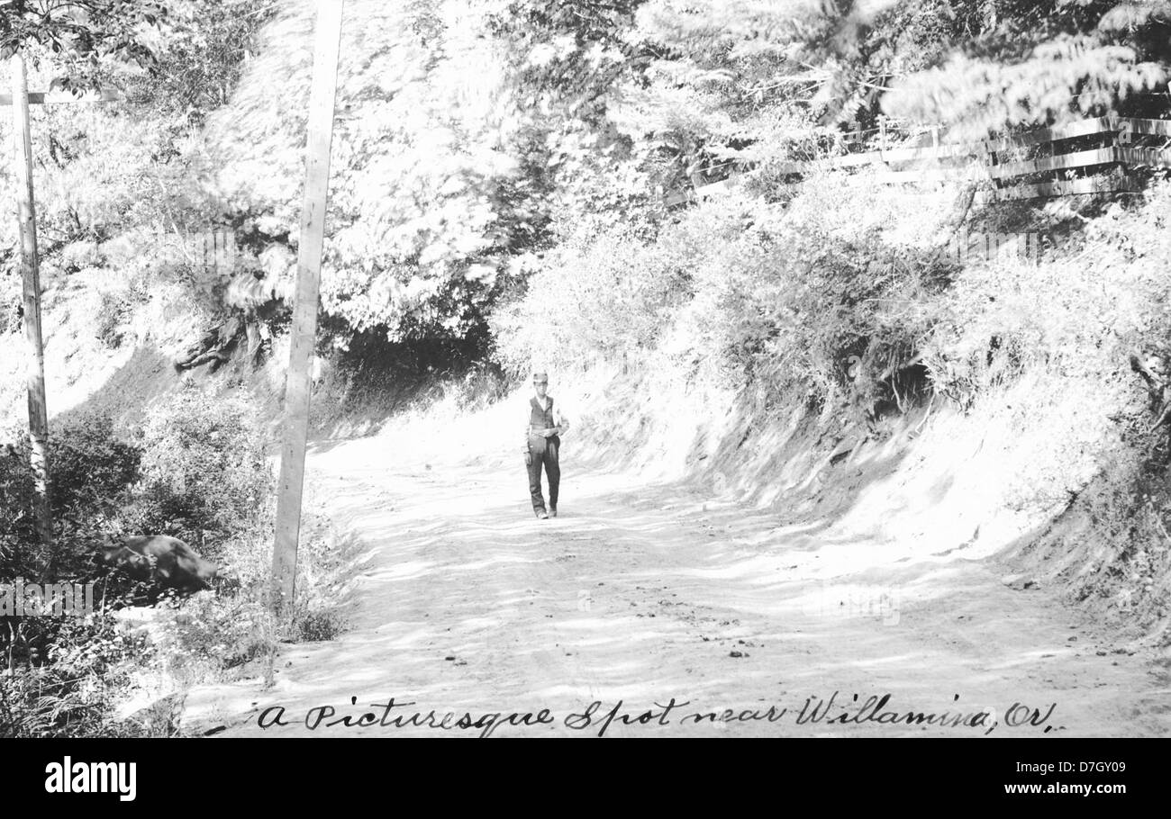 Willamina hires stock photography and images Alamy