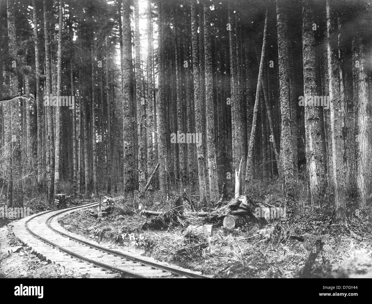 Logging in oregon Black and White Stock Photos & Images Alamy