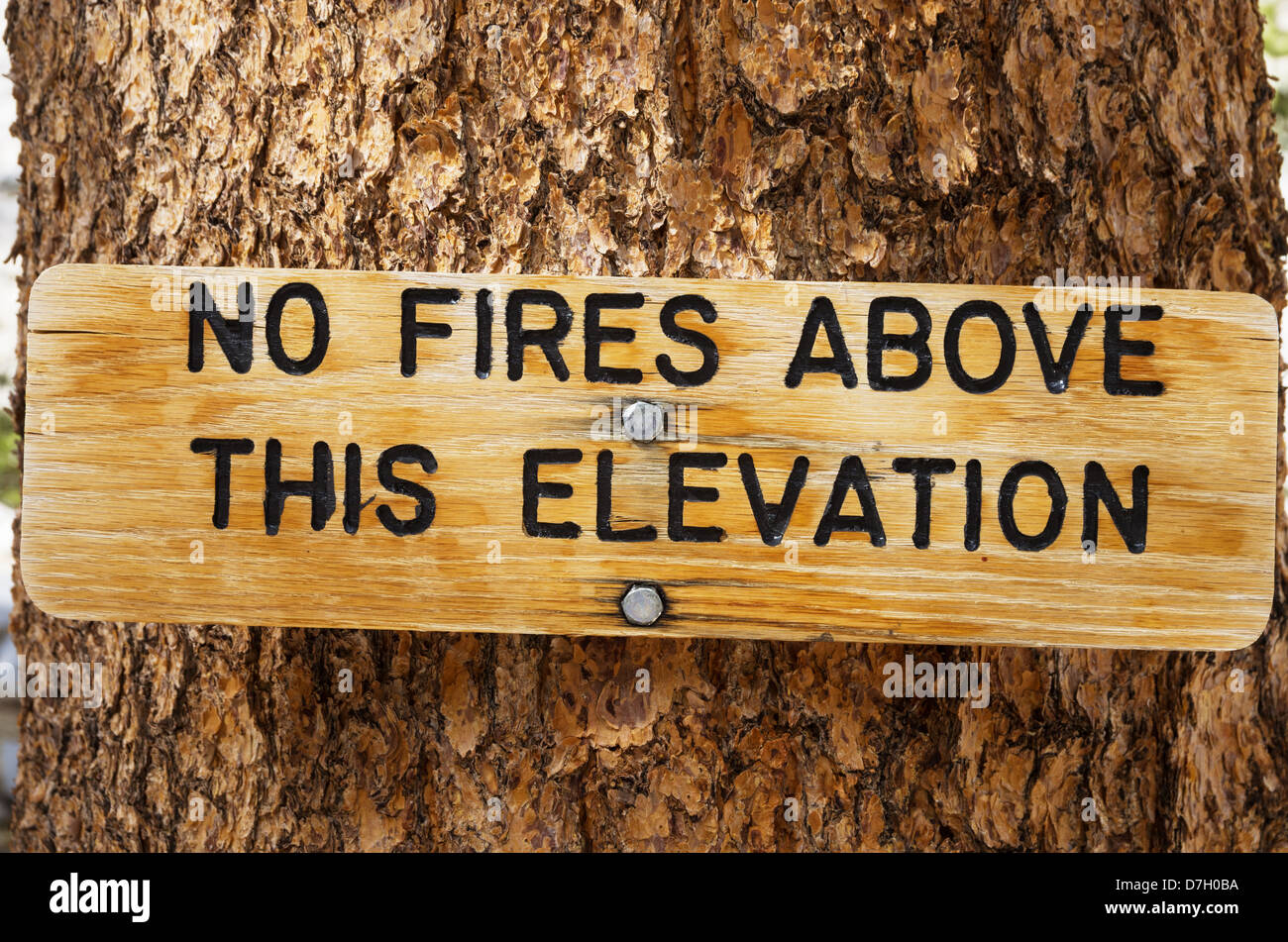 no fires above this elevation wood sign on a tree trunk Stock Photo