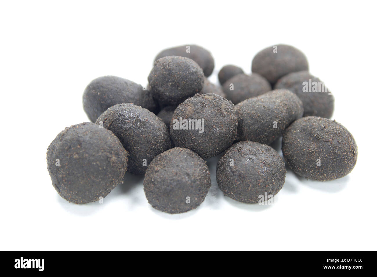 Barometer Earthstar Mushrooms Stock Photo Alamy