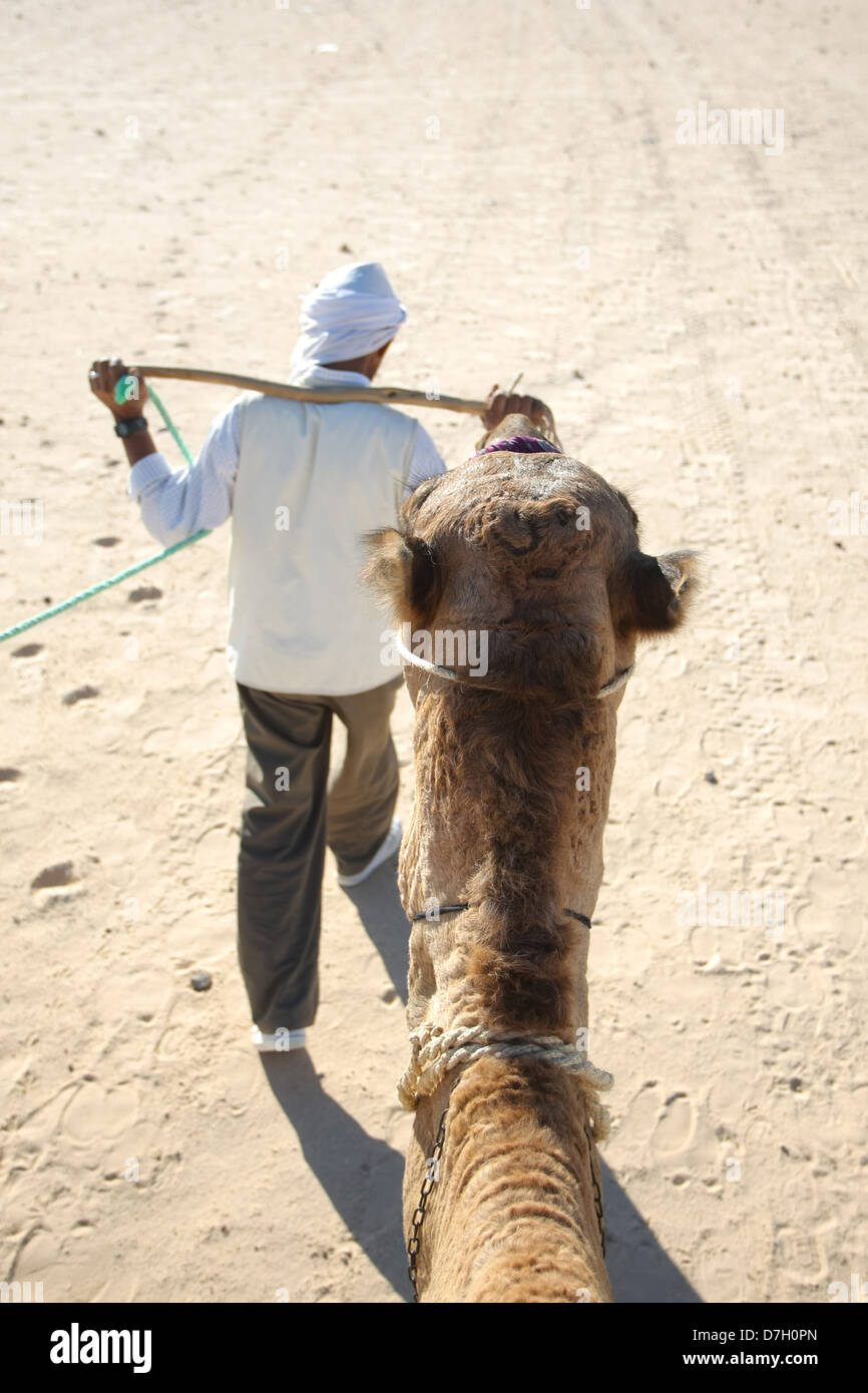 Beduins leading tourists on camels at the Sahara desert on September 17, 2012 in Douz, Kebili, Tunisia Stock Photo