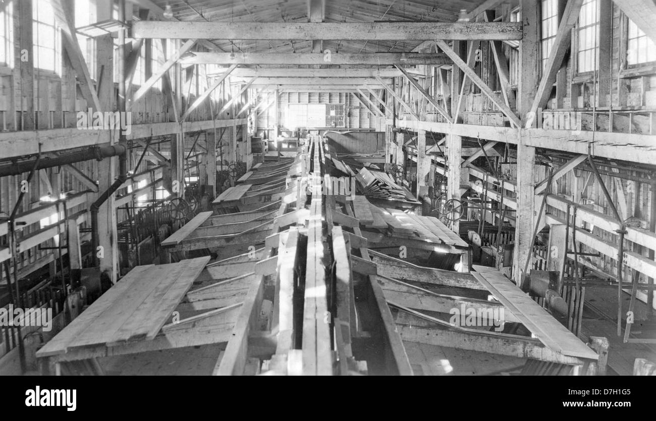 ShevlinHixon Company, Bend, Oregon, 12 "Tanner" stackers Stock Photo