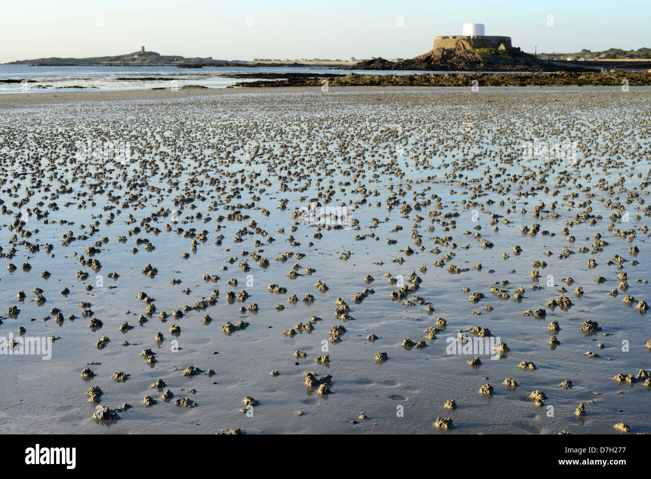 worm casts on sand at Rocquaine Bay, Guernsey, Channel Islands, GB Stock Photo