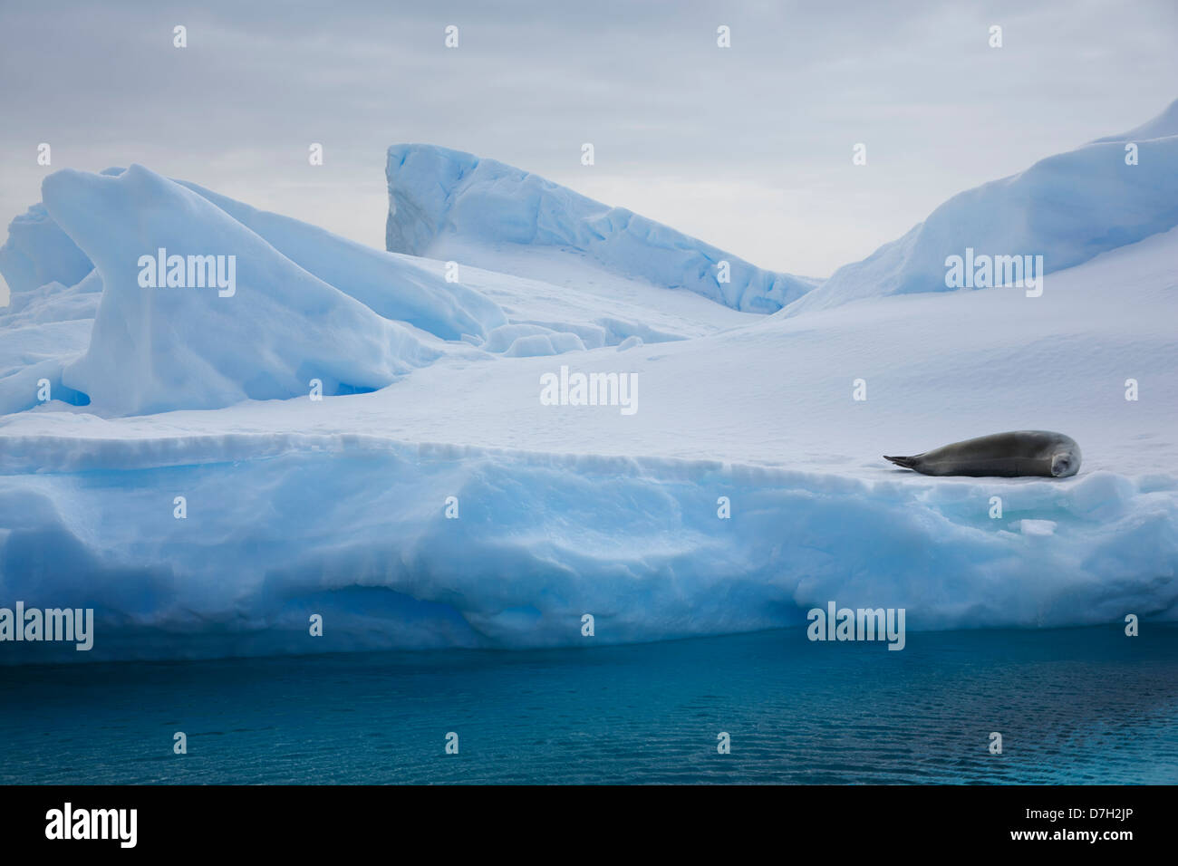 Detaille Island, South of the Antarctic Circle, Antarctica. Stock Photo