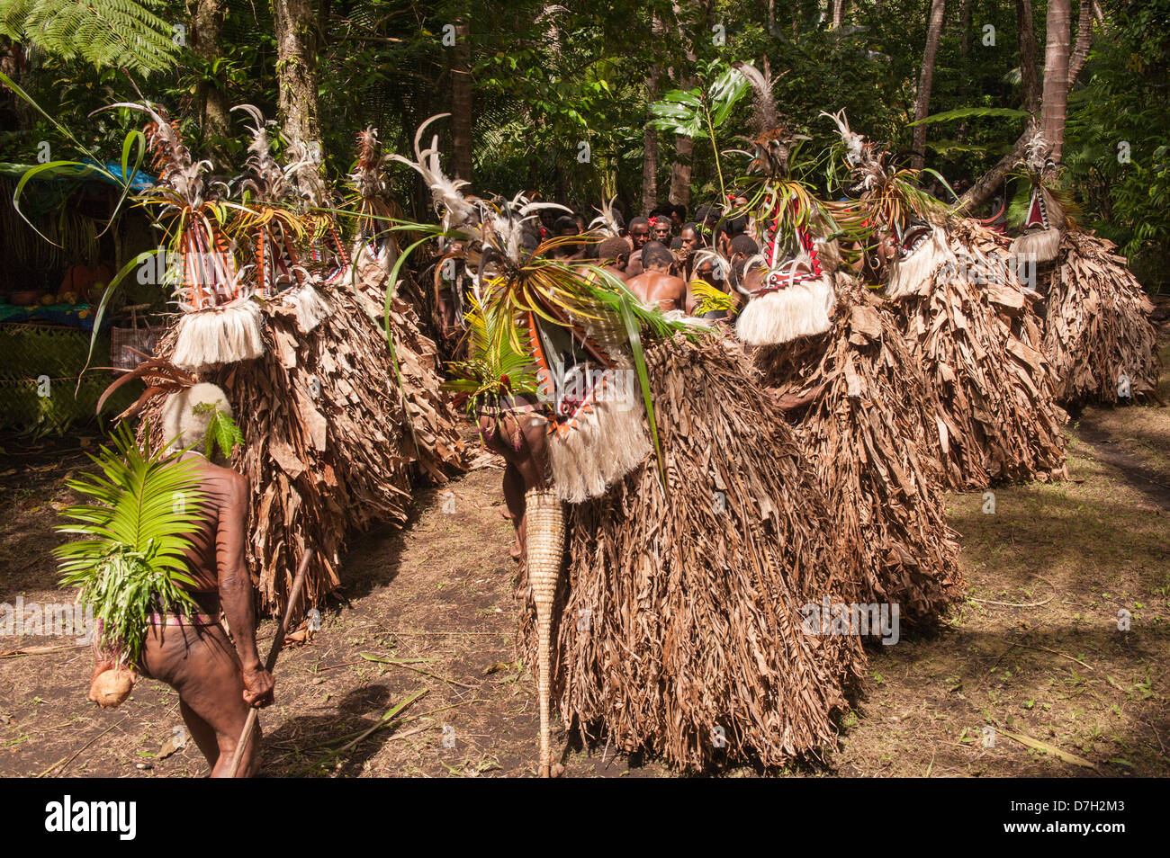 The Rom Dancers make their entrance on the last day of Ambrym's annual Back to My Roots festival of traditional culture Vanuatu Stock Photo