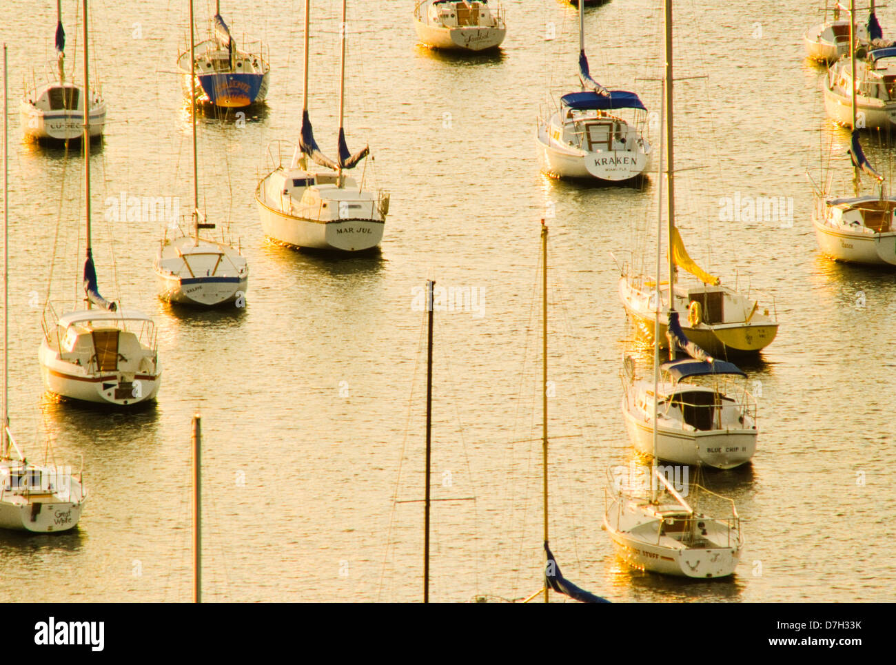 Sailboats at anchor, Biscayne Bay, Miami, Florida Stock Photo Alamy
