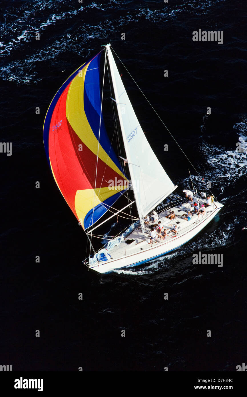 Sailboats aerial view,Columbus day regata,  Miami Stock Photo