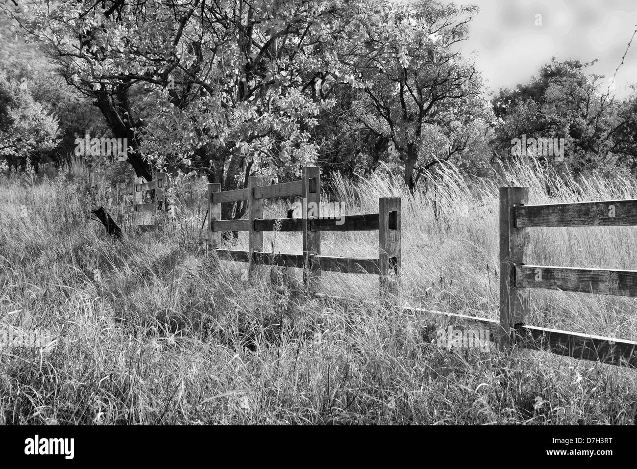 Broken Fence Black and White Stock Photos & Images - Alamy