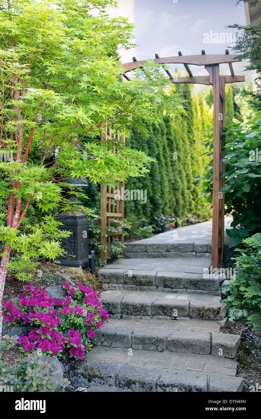 Pink Azaleas Blooming in Spring under Coral Bark Japanese Maple Tree Along Garden Path Stock Photo