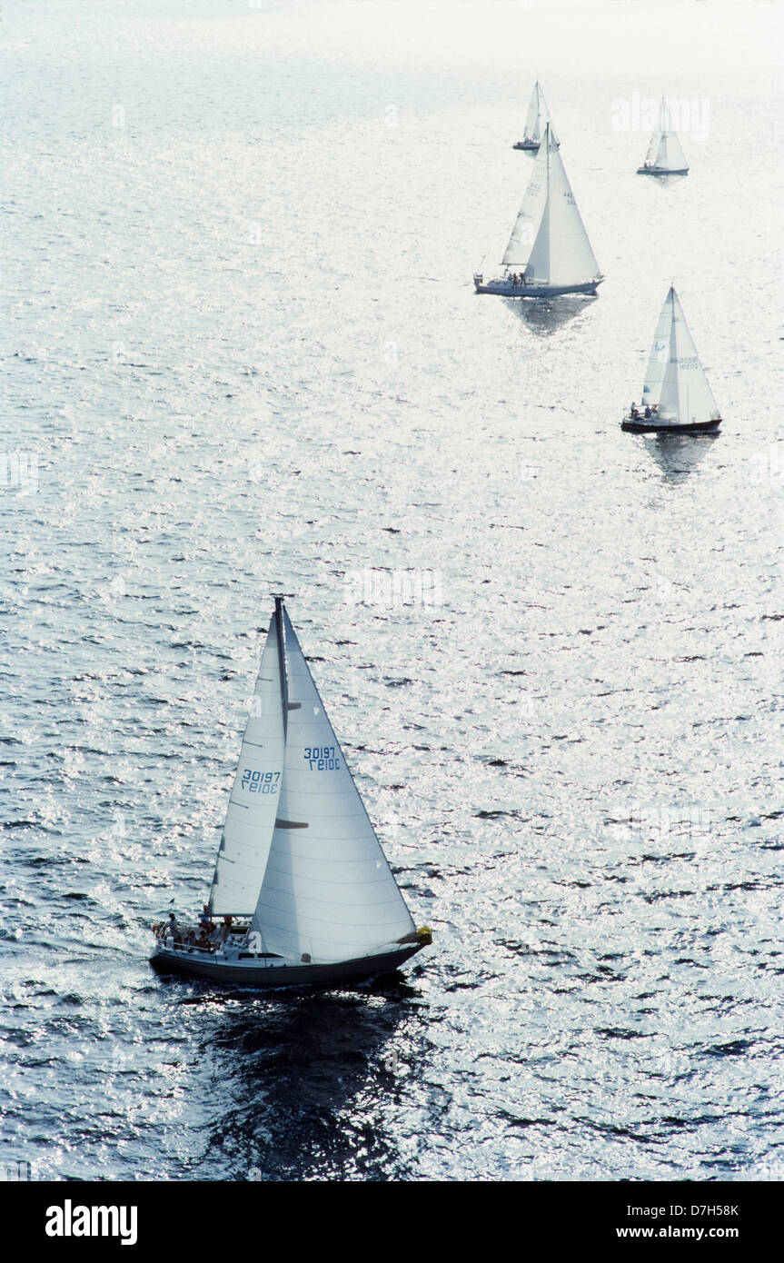 Sailboats aerial view,Columbus day regata,  Miami Stock Photo