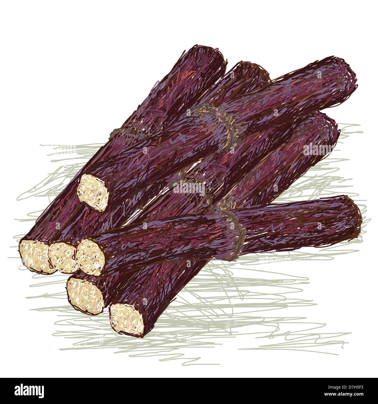illustration of fresh stack of purple sugarcane, sugar cane sticks ...