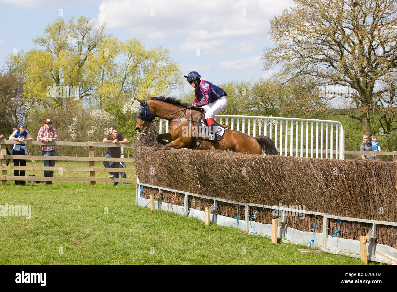 Race horses jumping brush fences at a local point to point meeting