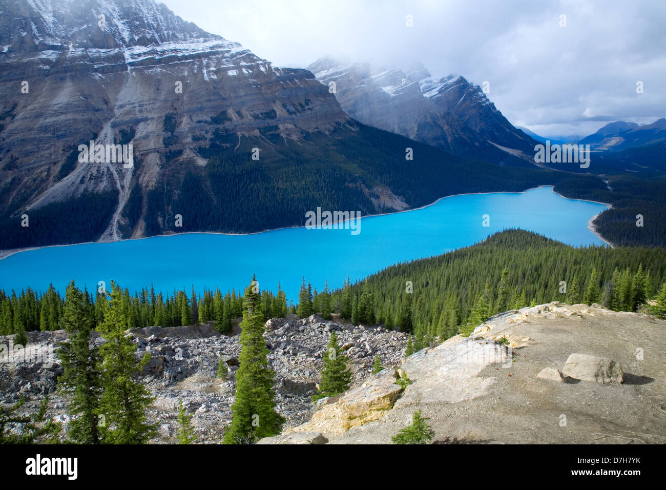 Peyto Lake in Banff National Park, Alberta, Canada Stock Photo - Alamy