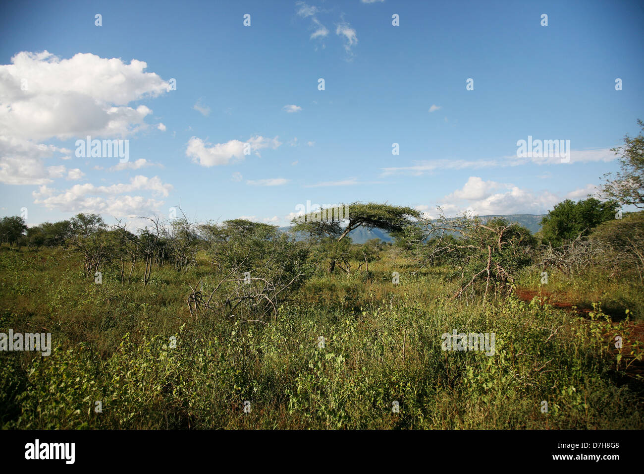 Landscape imagery of Kwazulu Natal, South Africa Stock Photo - Alamy