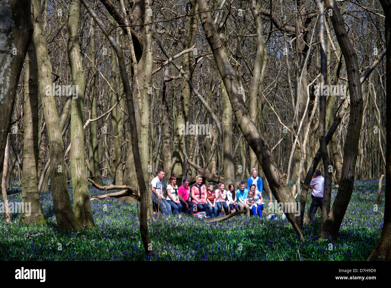 Family photgraph being taken in woodland by the North Down way near Chilham Kent Stock Photo