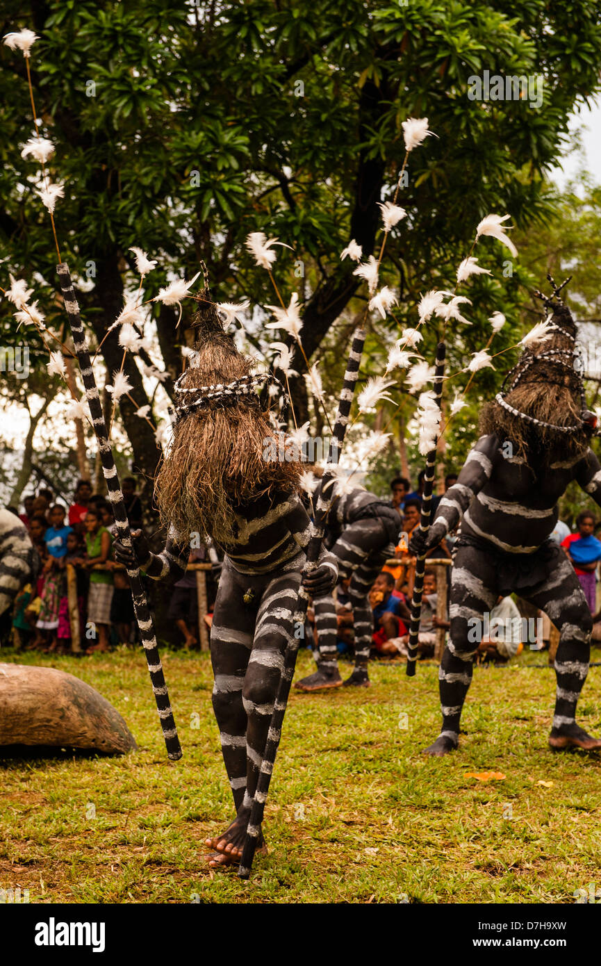 Snake dancers entertain, painted like sea snakes, during the annual festival of traditional culture in the Banks Islands, northern Vanuatu Stock Photo