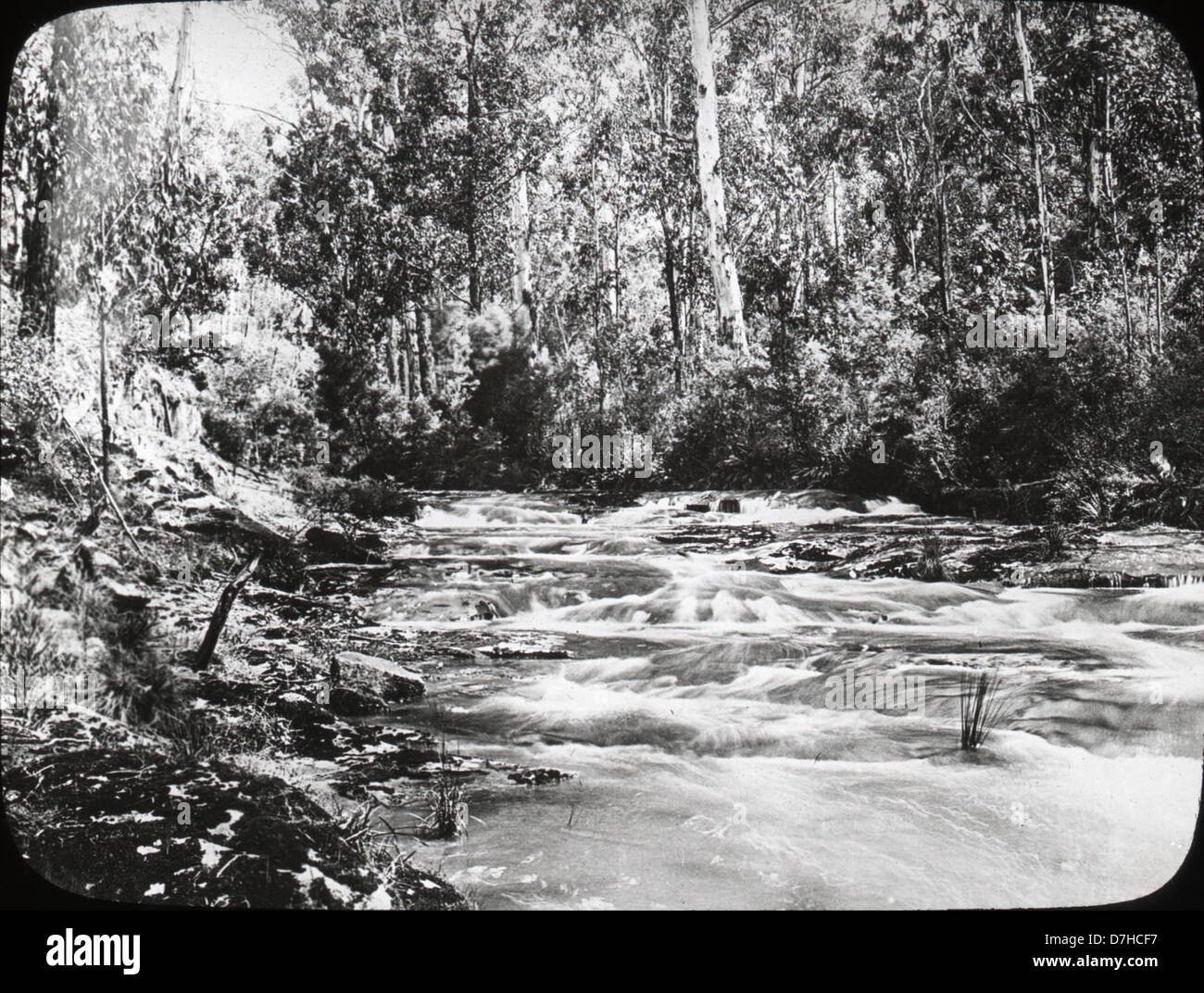 A photo of the St. Georges River in Lorne, Victoria, Australia, taken ...