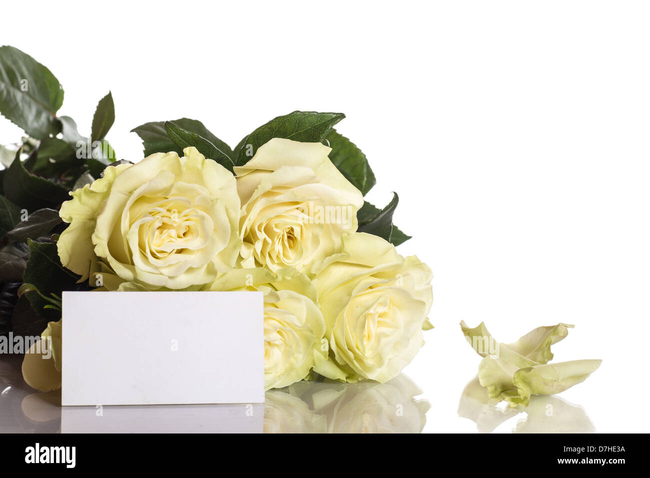 Fresh roses hi-res stock photography and images - Alamy