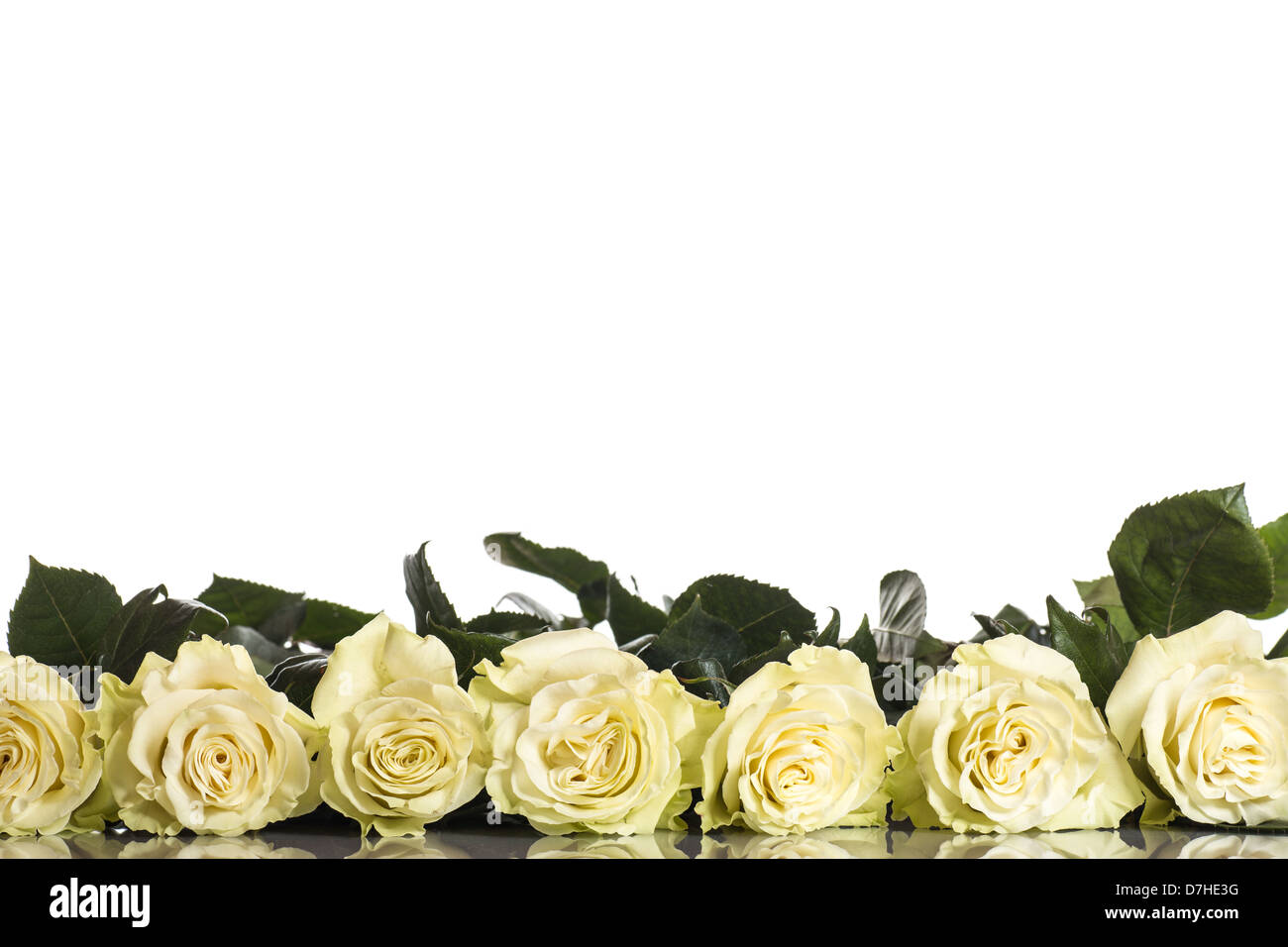 Fresh roses hi-res stock photography and images - Alamy