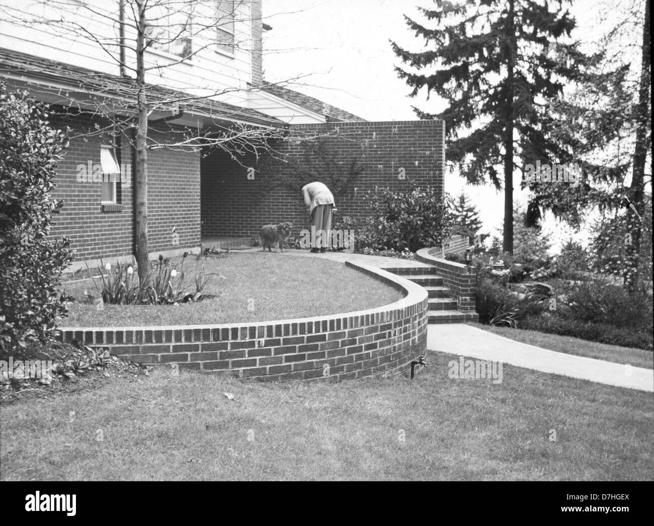 A man stands with his dog in the front yard of a house, next to a rounded brick bed and a brick entrance wall. The setting emphasizes suburban home design, featuring natural elements like grass and plants, with a focus on the man’s companionship with the dog. The scene reflects daily life and peaceful domesticity in a typical residential area. Stock Photo