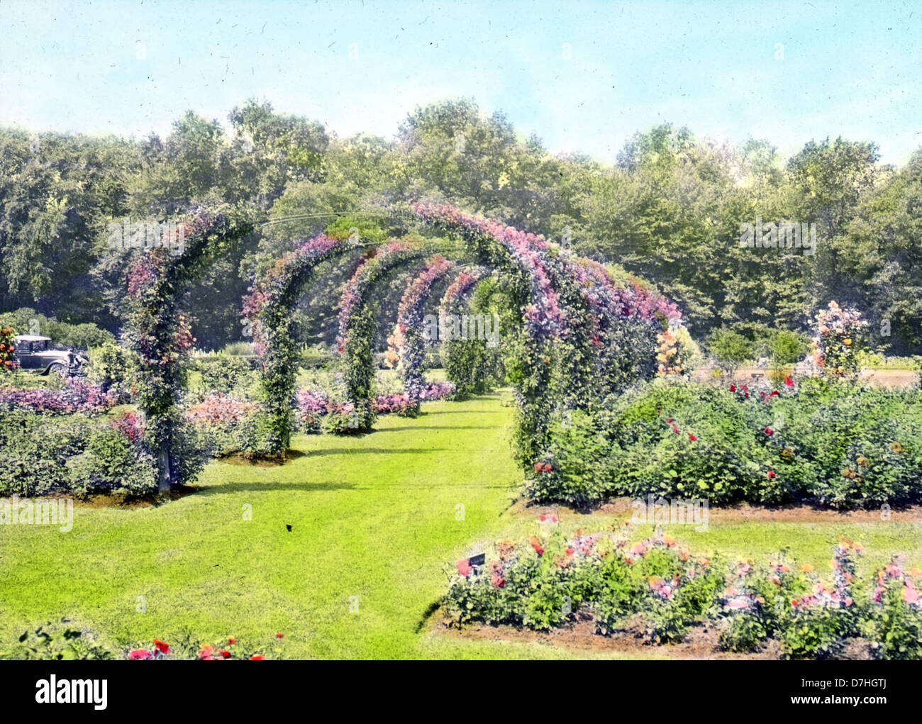 Rose Garden Elizabeth Park Hartford, CT 1930 Stock Photo Alamy