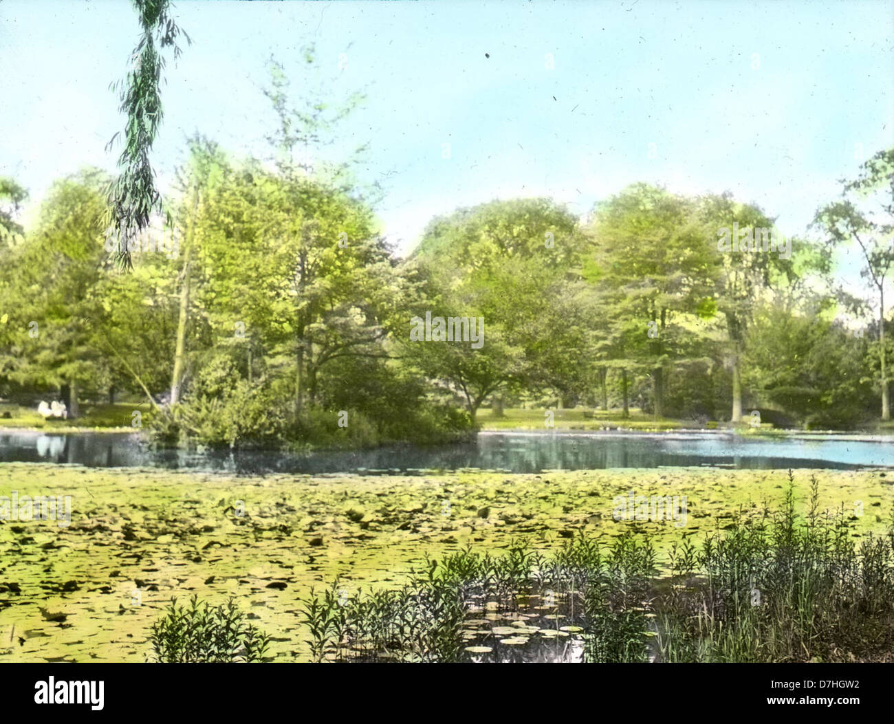 This image from 1930 shows a tranquil lake at Elizabeth Park in Hartford, Connecticut. The park, known for its beautiful gardens and scenic views, remains a popular public space today. The historical photograph captures the serene environment of the lake during this era, reflecting the park's role as a recreational and community space. Stock Photo