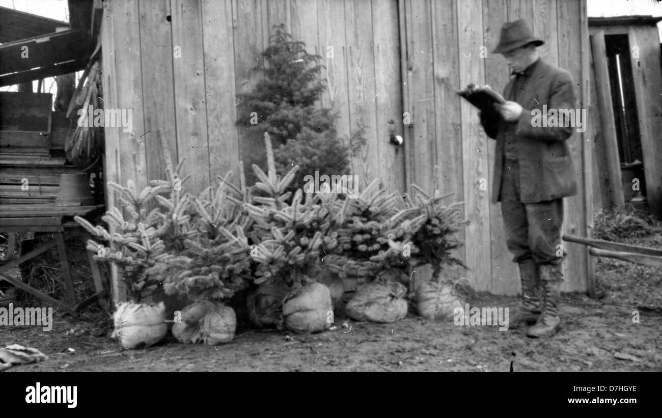 Dense evergreen shrub Black and White Stock Photos & Images - Alamy