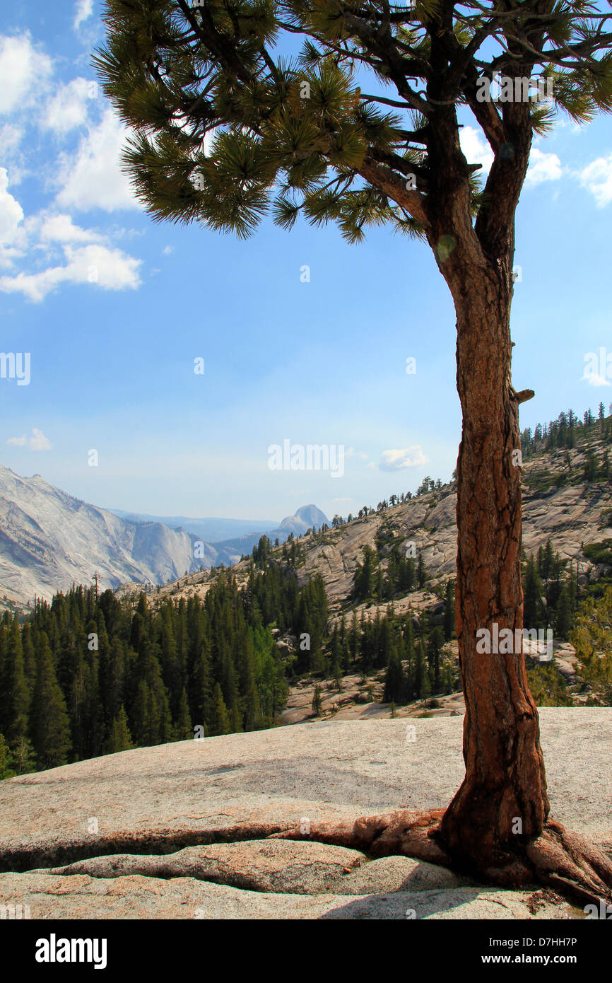 Yosemite Valley from Olmsted Point, California, USA Stock Photo