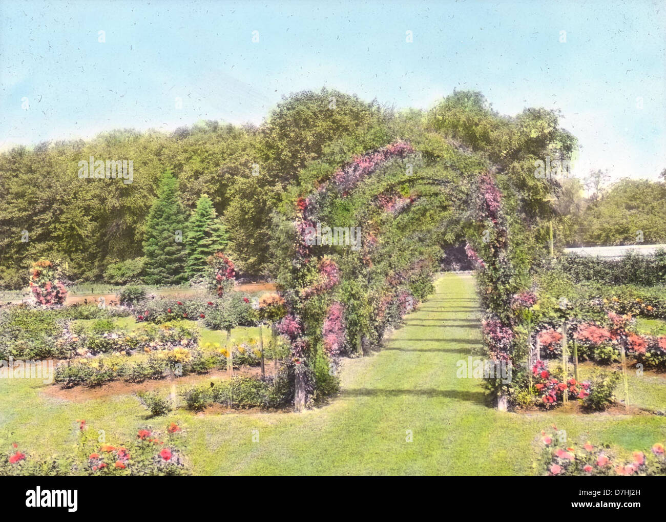 This 1930s photograph showcases the Rose Garden at Elizabeth Park in Hartford, Connecticut, capturing the vibrant colors and well-maintained landscape of the historic garden. Stock Photo