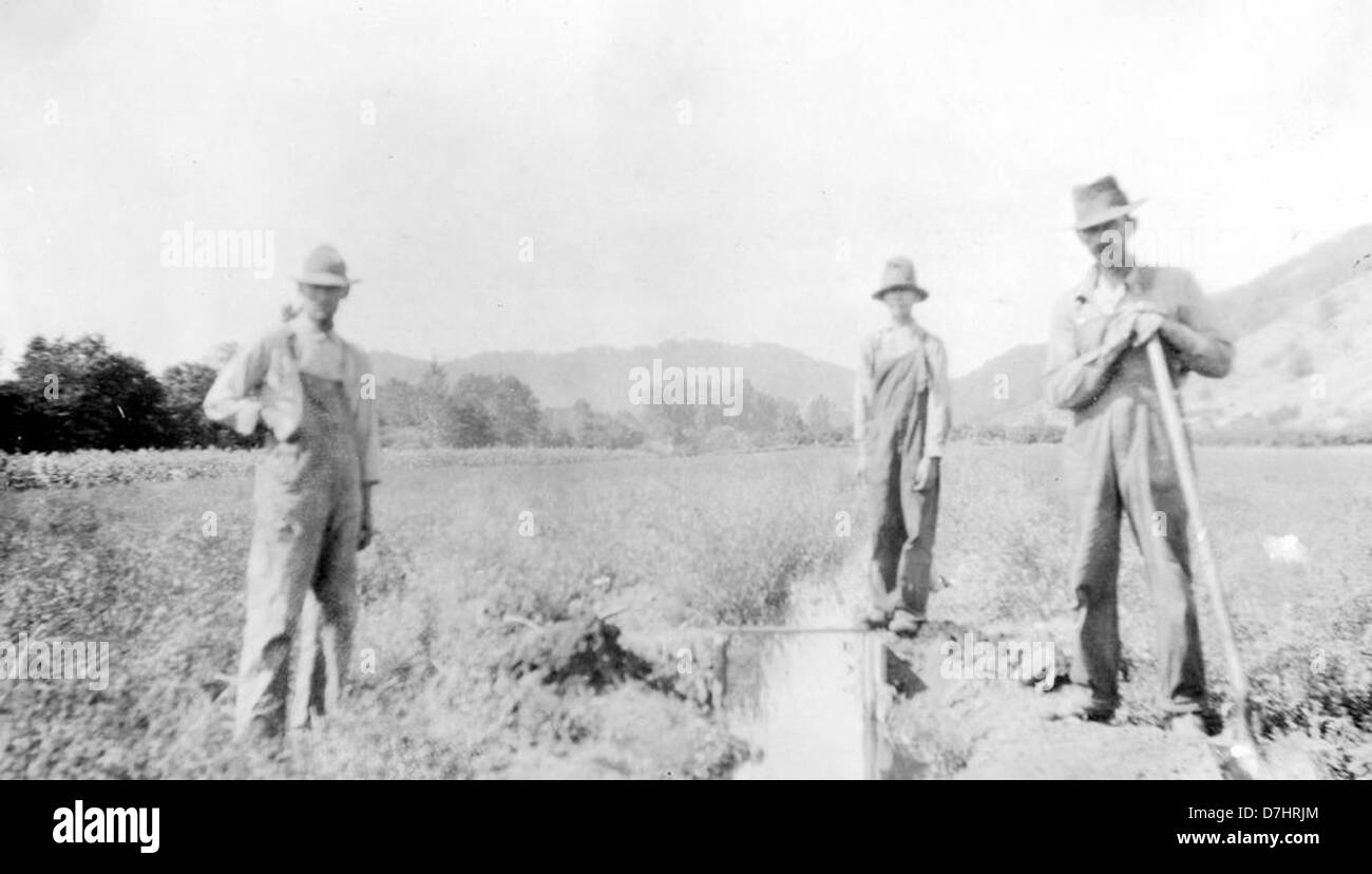 Irrigation, 1923, Douglas County Stock Photo