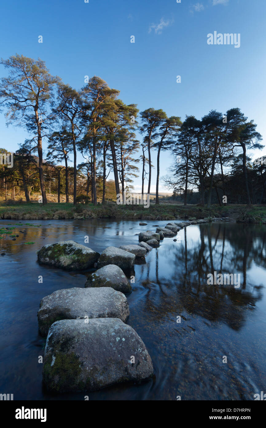 Stepping Stones across the West Dart River. Dartmoor National Park. Devon. England. UK. Stock Photo