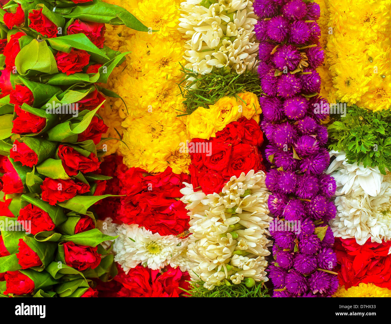Garland of multiple colors of flower Stock Photo Alamy
