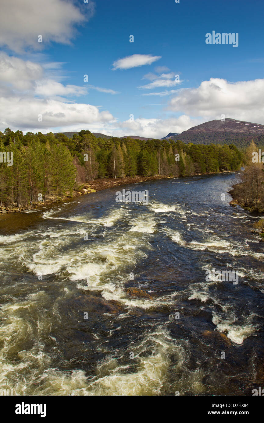 VIEW TO SNOW COVERED LOCHNAGAR MOUNTAIN  FROM THE OLD BRIDGE BRIG O DEE AT INVERCAULD ABERDEENSHIRE SCOTLAND Stock Photo
