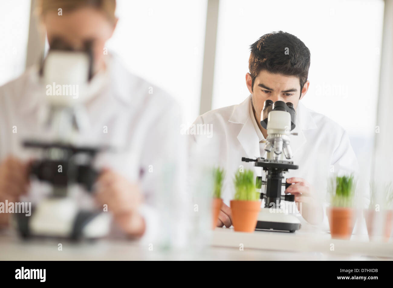 Scientists doing research on microscopes Stock Photo Alamy