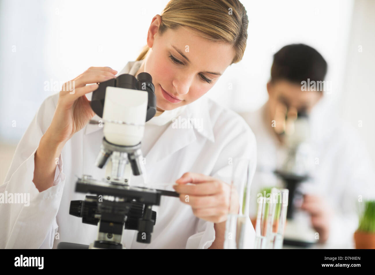 Scientists doing research on microscopes Stock Photo