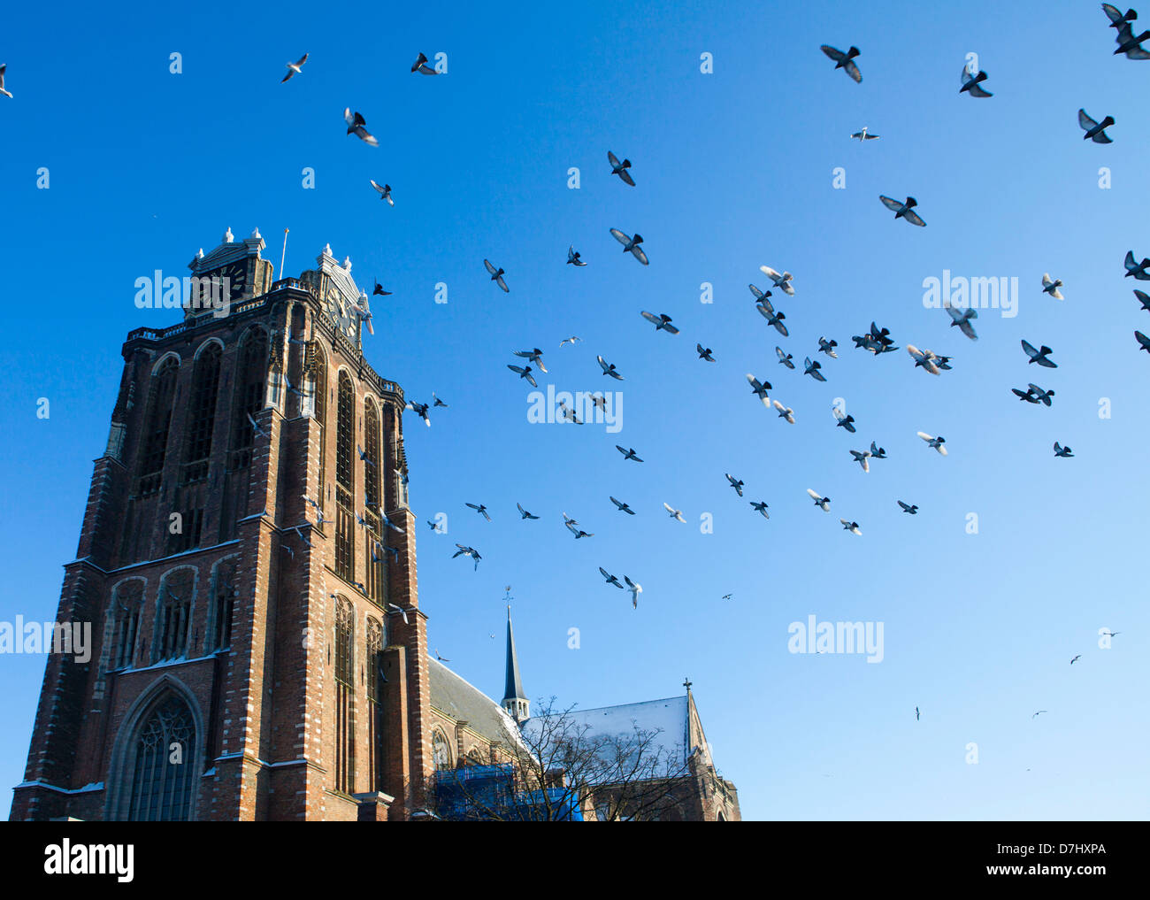 'Grote kerk' (big church) in Dordrecht, Netherlands Stock Photo