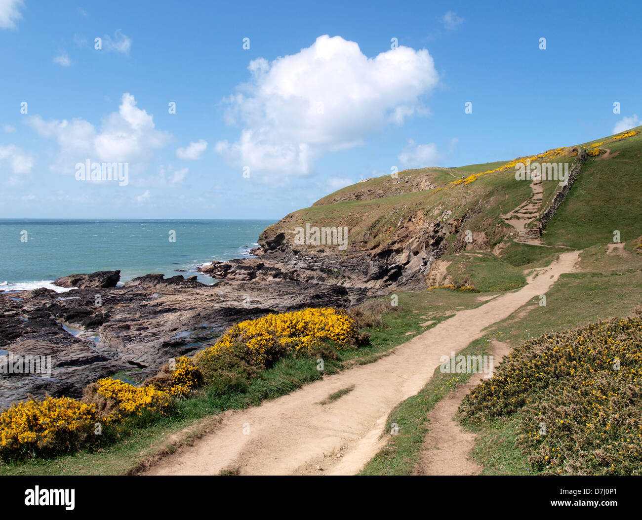 South West Coast Path, Polzeath, Cornwall, UK, 2013 Stock Photo