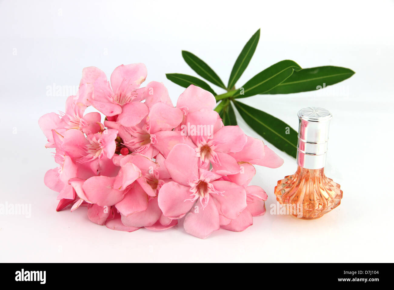 Bouquet of light pink flowers and orange Perfume bottles on the white background. Stock Photo