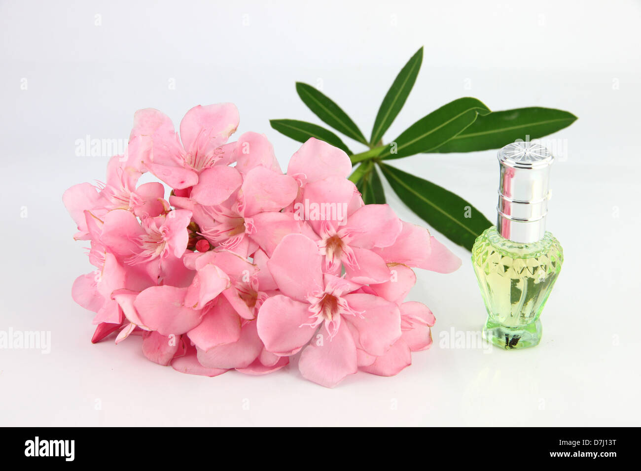 Bouquet of light pink flowers and Green Perfume bottles on the white background. Stock Photo