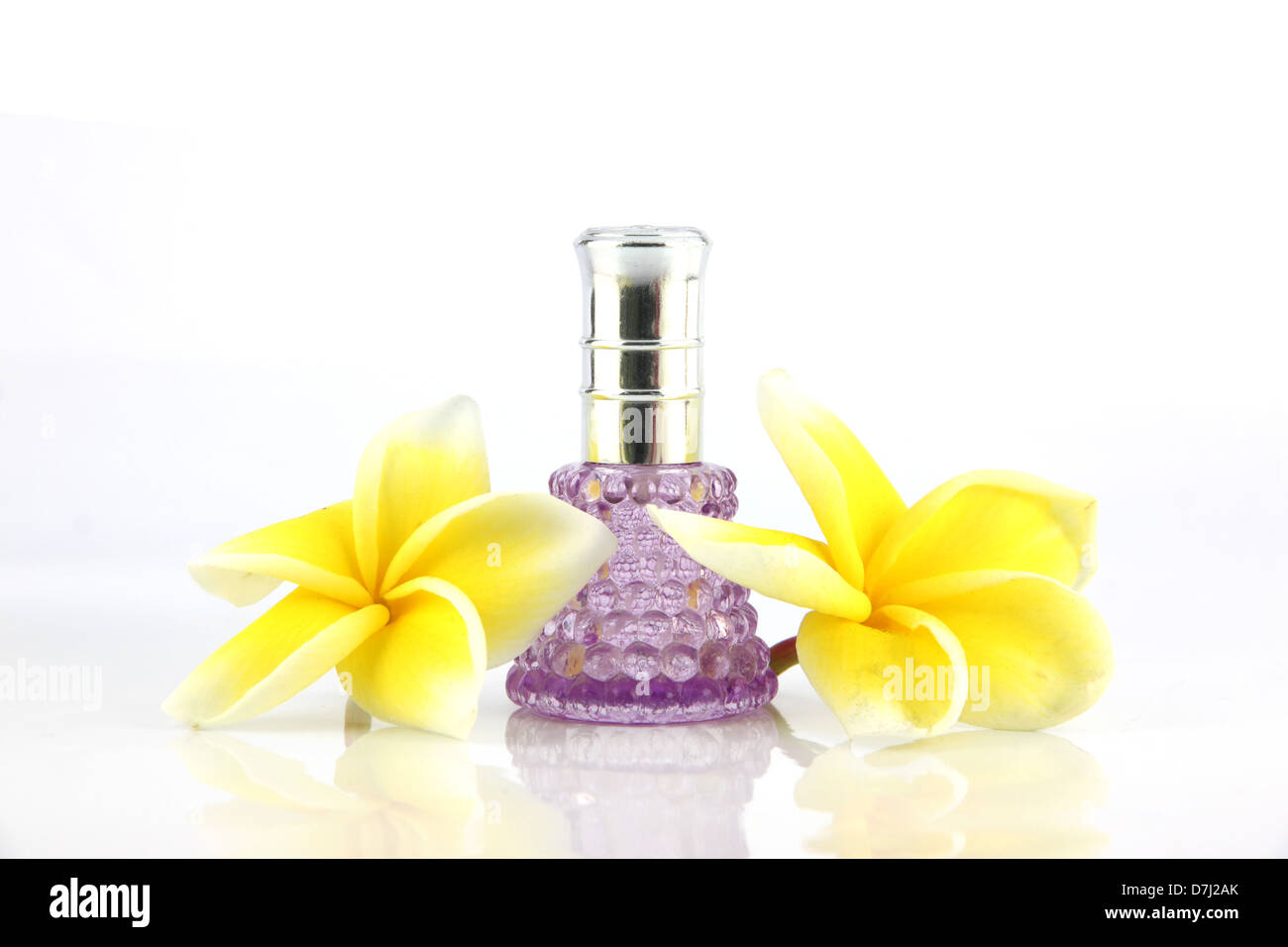 Yellow flowers and violet Perfume bottles on the white background. Stock Photo