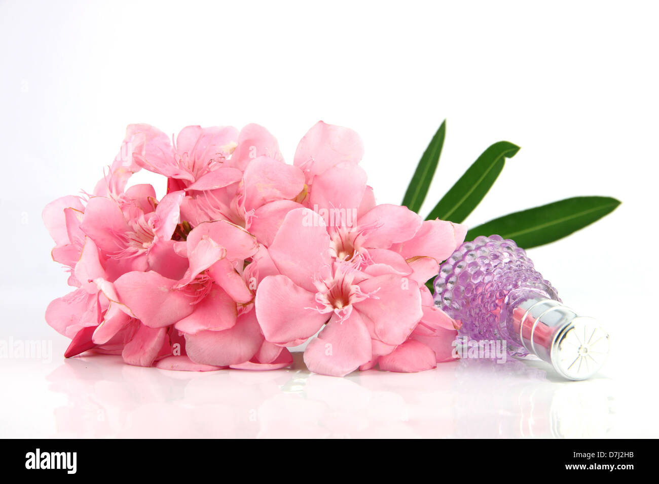 Bouquet of light pink flowers and violet Perfume bottles on the white background. Stock Photo