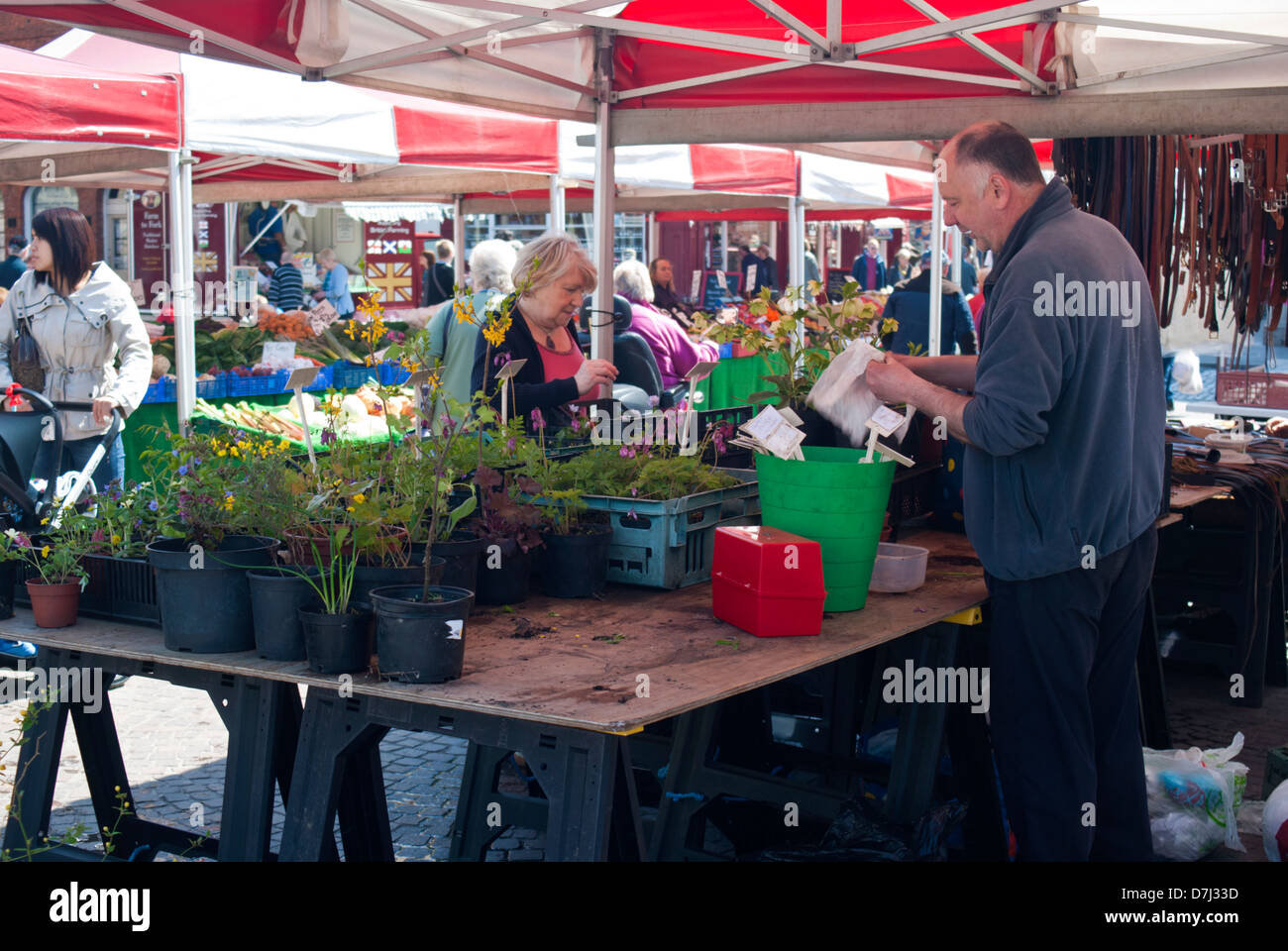 Plant stall in the Market Square in Newark on Trent, Nottinghamshire England UK Stock Photo