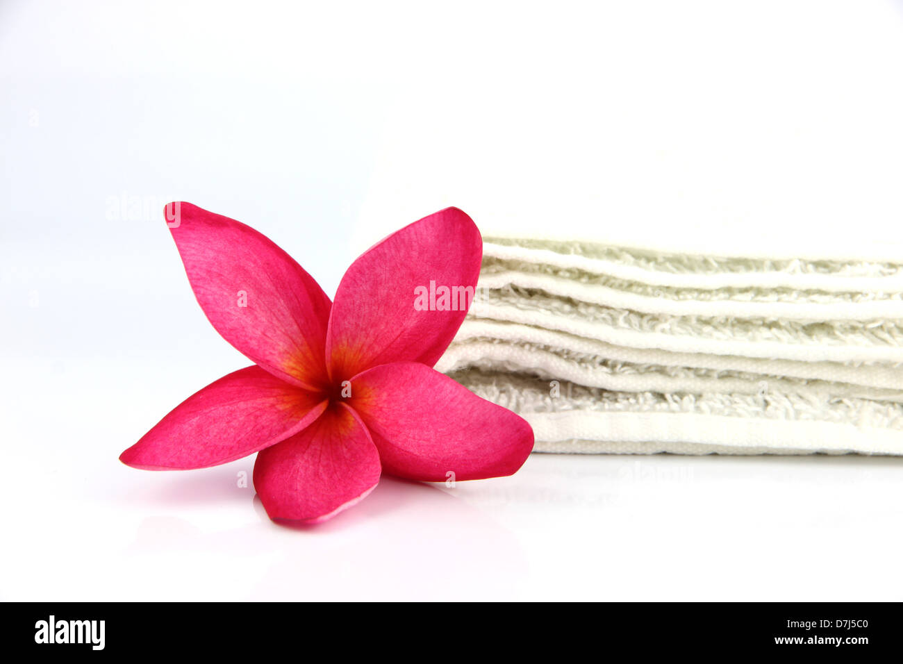 Red flowers with white towel on white background. Stock Photo