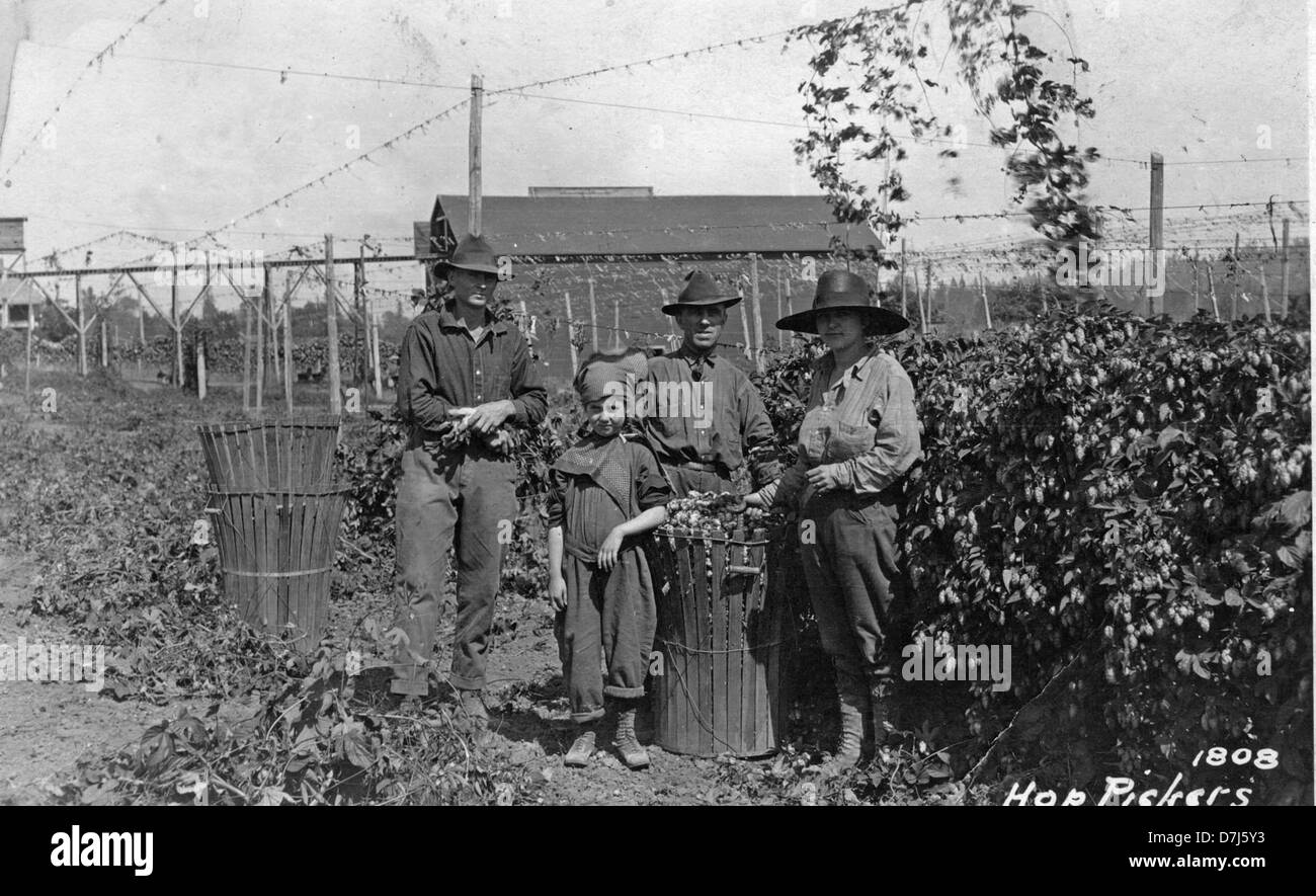 Hop pickers Black and White Stock Photos & Images Alamy