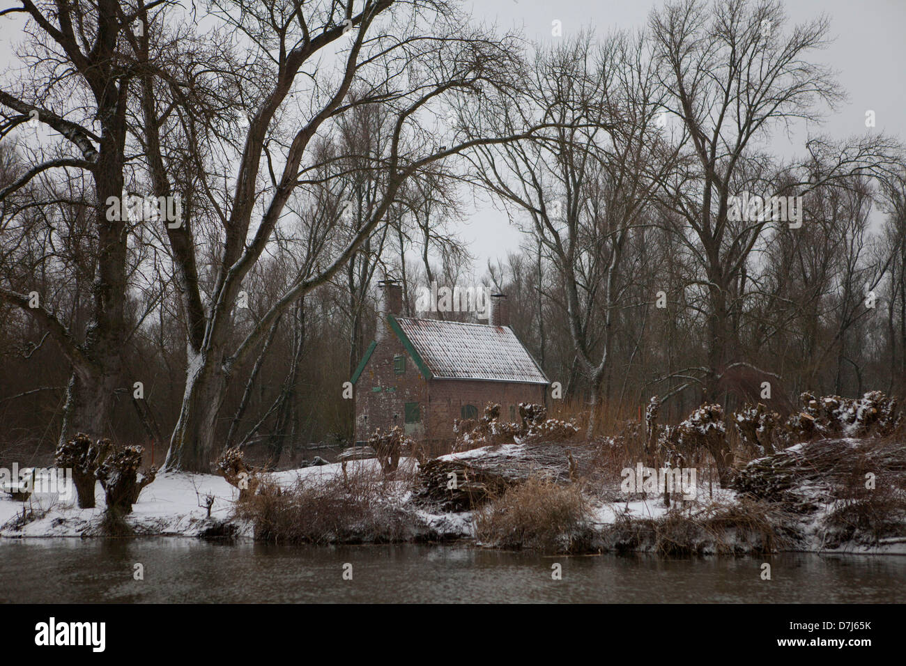 willow shack in national park de biesbosch in holland Stock Photo Alamy