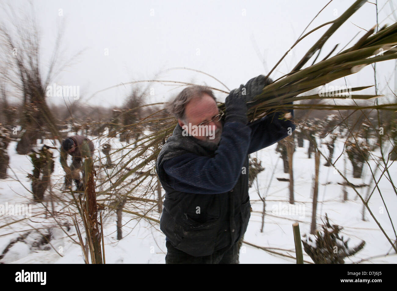 volunteers at a willow shack in national park de biesbosch in holland Stock Photo