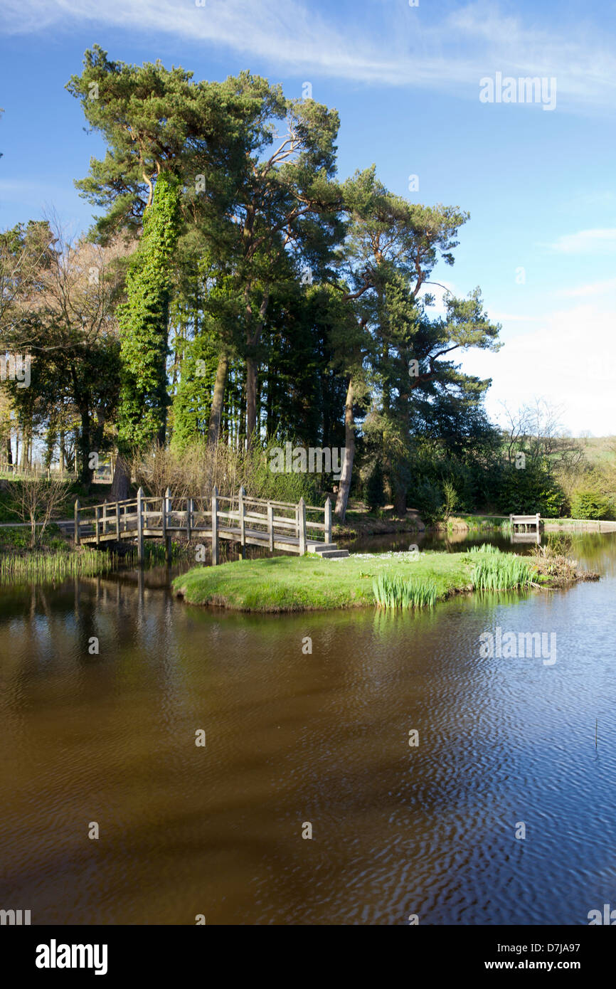Lake in Hooke Court, Dorset Stock Photo Alamy