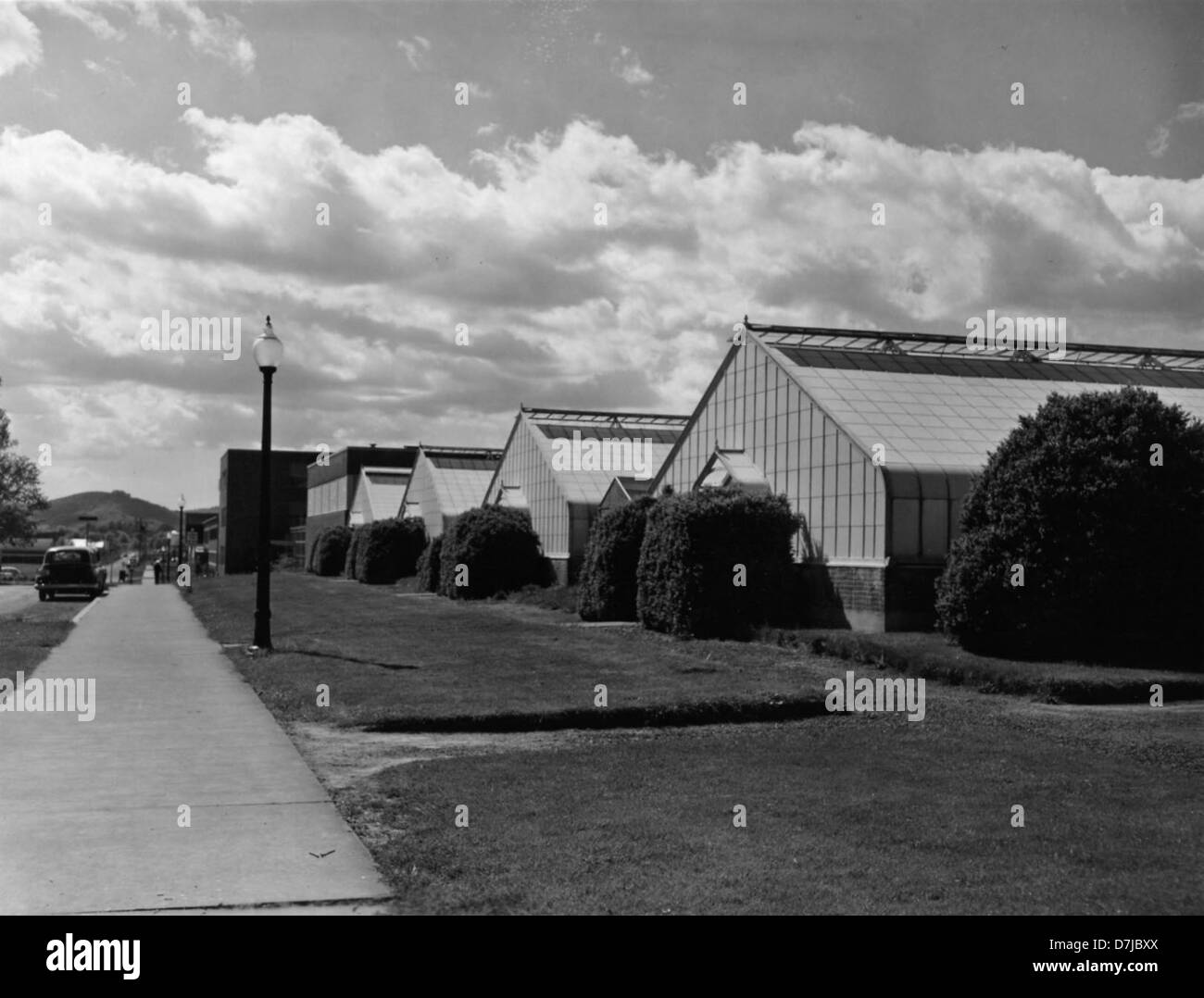 Oregon State College Greenhouses, 1954 Stock Photo Alamy